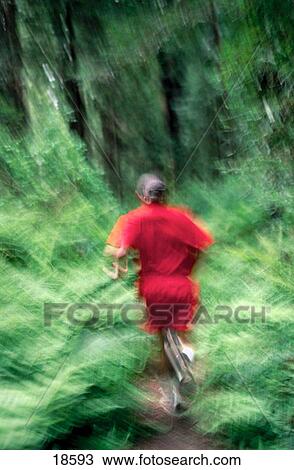 Running through the forest View Large Photo Image Stock Image - Running through the forest. Fotosearch