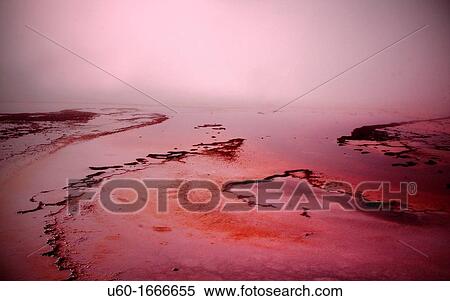 Runoff from the hot spring, Grand Prismatic Spring, is backlit by the sun amongst the steam and color from the microorganisms at Yellowstone National Park, Wyoming View Large Photo Image Stock Photography - Runoff from the hot spring, Grand Prismatic Spring, is backlit by the sun amongst the steam and color from the microorganisms at Yellowstone National Park, Wyoming. Fotosearch