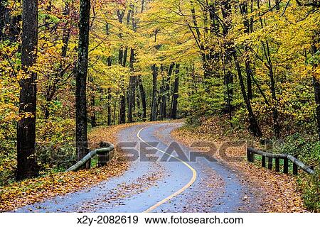 Rural autumn road, Mt. Greylock State Reservation, Massachusetts, USA. View Large Photo Image Stock Photo - Rural autumn road, Mt. Greylock State Reservation, Massachusetts, USA.. Fotosearch
