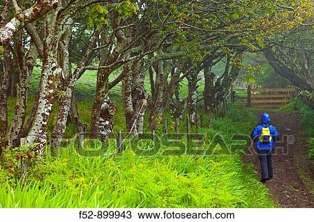 Rural landscape, Canna, Small Isles, Inner Hebrides, Scotland, UK View Large Photo Image Stock Image - Rural landscape, Canna, Small Isles, Inner Hebrides, Scotland, UK. Fotosearch