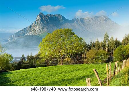 Rural landscape in Ramales de la Victoria, Cantabria, Spain View Large Photo Image Stock Image - Rural landscape in Ramales de la Victoria, Cantabria, Spain. Fotosearch
