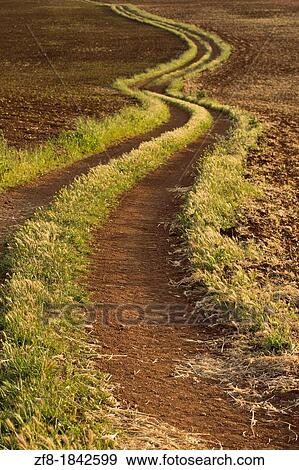 Stock Photo - Rural road at Serpa region, Portugal. Fotosearch