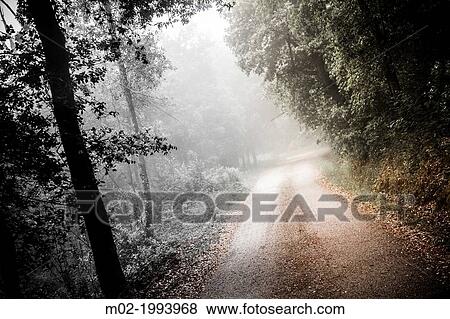 Rural road in Corsica, France. View Large Photo Image Stock Photo - Rural road in Corsica, France.. Fotosearch