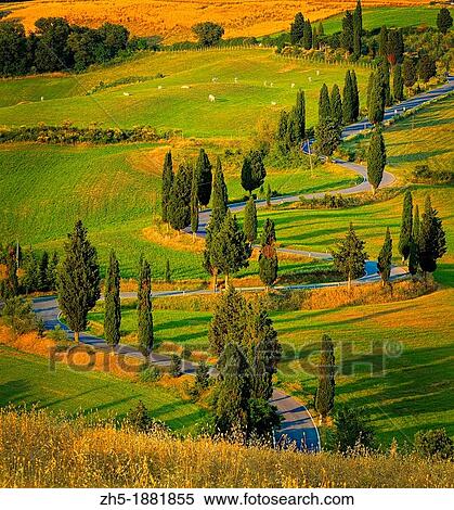 Rural road near the Tuscan town of Montichiello View Large Photo Image Stock Photography - Rural road near the Tuscan town of Montichiello. Fotosearch