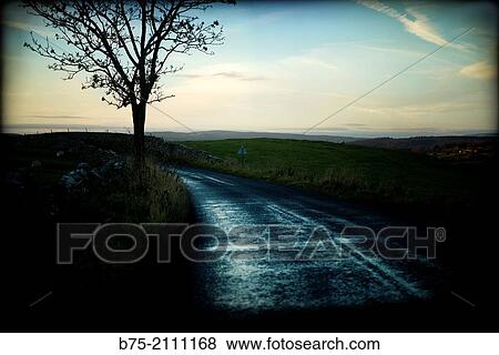 Stock Photo - Rural road with a tree in the foreground at sunset. North Yorkshire, England, UK, Europe.. Fotosearch