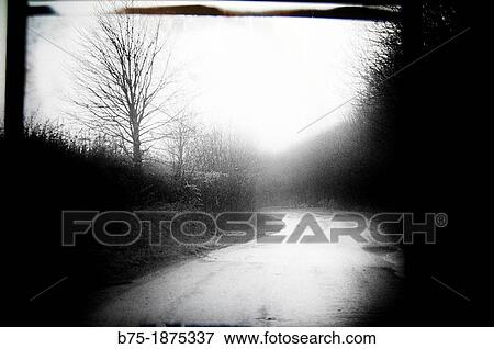 Rural road with atmosphere, haze and mist View Large Photo Image Stock Photo - Rural road with atmosphere, haze and mist. Fotosearch