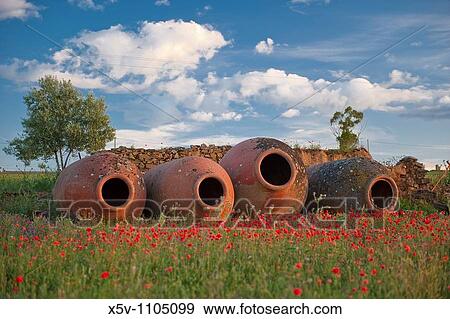 Stock Photo - Rural scenic, Badajoz province, Extremadura, Spain. Fotosearch