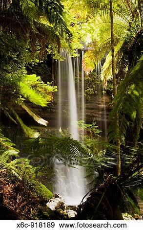 Stock Photo - Russell Falls, Mount Field National Park, Tasmania, Australia. Fotosearch