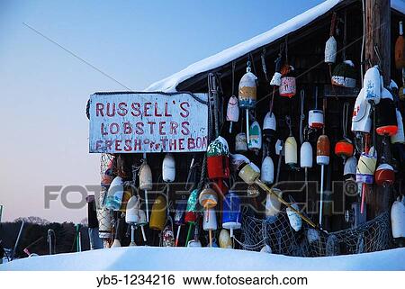 Russells Lobsters Maine View Large Photo Image Stock Photograph - Russells Lobsters Maine. Fotosearch