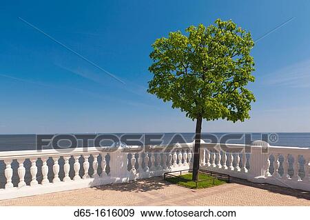 Russia, Saint Petersburg, Peterhof, Gulf of Finland from the Monplaisir Villa View Large Photo Image Stock Photo - Russia, Saint Petersburg, Peterhof, Gulf of Finland from the Monplaisir Villa. Fotosearch