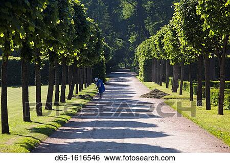 Russia, Saint Petersburg, Pushkin-Tsarskoye Selo, palace grounds View Large Photo Image Stock Photograph - Russia, Saint Petersburg, Pushkin-Tsarskoye Selo, palace grounds. Fotosearch