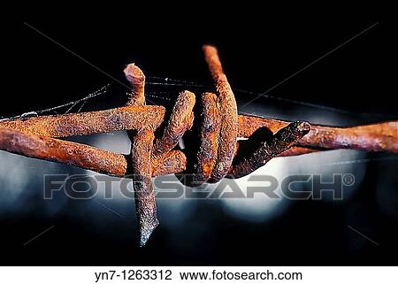 Rusted barbed wire in extreme close up View Large Photo Image Stock Image - Rusted barbed wire in extreme close up. Fotosearch