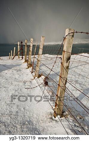Rusty barb wire fence through snowy landscape, Isle of Harris, Outer Hebrides, Scotland View Large Photo Image Stock Photo - Rusty barb wire fence through snowy landscape, Isle of Harris, Outer Hebrides, Scotland. Fotosearch