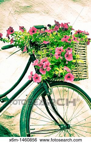 Stock Photograph - Rusty bicycle with flowers Wicklow Mountains National Park County Wicklow Ireland. Fotosearch