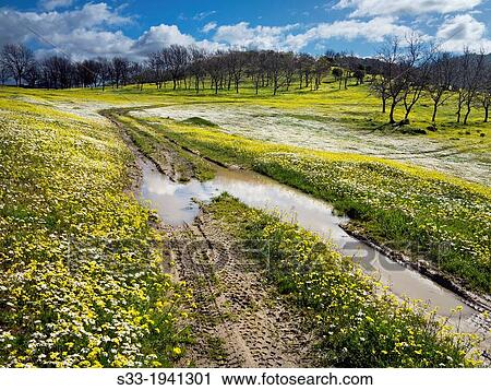 Ruts in Higuera de las Dueas. Avila. Castilla Leon. Spain. View Large Photo Image Stock Image - Ruts in Higuera de las Dueas. Avila. Castilla Leon. Spain.. Fotosearch