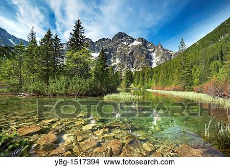 Rybi Stream, Tatra National Park, Poland, Europe View Large Photo Image Picture - Rybi Stream, Tatra National Park, Poland, Europe. Fotosearch