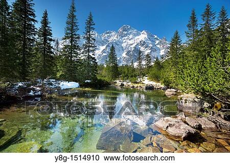 Rybi Stream, Tatra National Park, Poland, Europe View Large Photo Image Stock Image - Rybi Stream, Tatra National Park, Poland, Europe. Fotosearch