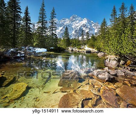 Rybi Stream, Tatra National Park, Poland, Europe View Large Photo Image Stock Image - Rybi Stream, Tatra National Park, Poland, Europe. Fotosearch