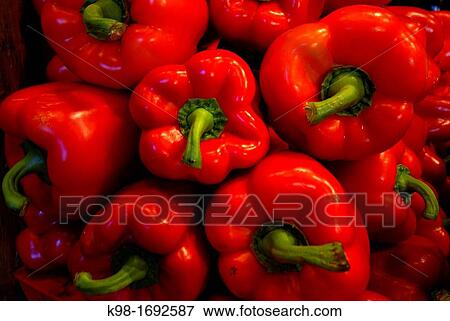 S? Olivar City Market, Palma, Majorca, Balearic Islands, Spain View Large Photo Image Stock Photo - S? Olivar City Market, Palma, Majorca, Balearic Islands, Spain. Fotosearch