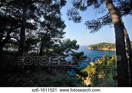 Sa Boquera, Tossa de Mar, Costa Brava, Catalonia, Spain, Europe View Large Photo Image Stock Image - Sa Boquera, Tossa de Mar, Costa Brava, Catalonia, Spain, Europe. Fotosearch
