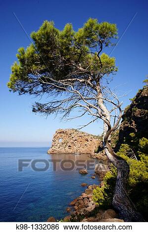Sa Foradada Deia Mallorca Tramuntana Balearic Islands Spain View Large Photo Image Stock Photograph - Sa Foradada Deia Mallorca Tramuntana Balearic Islands Spain. Fotosearch
