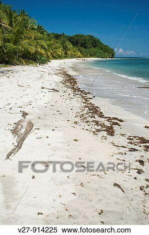 Sable Blanc Plage Antilles Photographié Dans Costa Rica Banques De Photographies