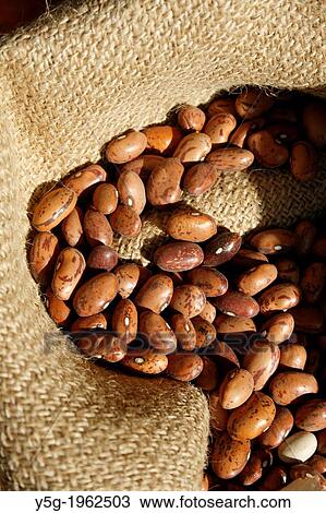 sack full of beans View Large Photo Image Stock Image - sack full of beans. Fotosearch