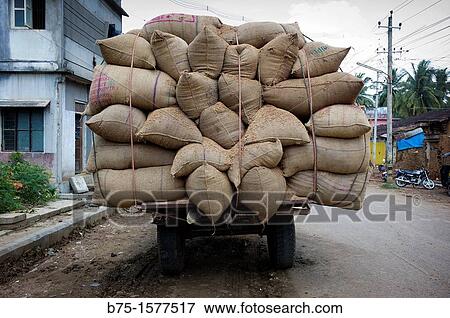 Sacks, Karnataka, India, Asia View Large Photo Image Stock Photo - Sacks, Karnataka, India, Asia. Fotosearch
