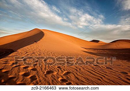 Sahara desert sand dunes, Erg Lihoudi, M? Hamid, Draa Valley, Morocco. View Large Photo Image Stock Image - Sahara desert sand dunes, Erg Lihoudi, M? Hamid, Draa Valley, Morocco.. Fotosearch