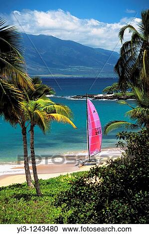 Sailboat on the beach at Wailea, Maui, Hawaii View Large Photo Image Stock Image - Sailboat on the beach at Wailea, Maui, Hawaii. Fotosearch