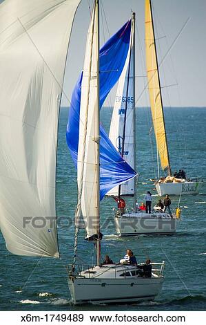 Sailing, El Abra de Bilbao, Biscay, Basque Country, Spain View Large Photo Image Stock Photo - Sailing, El Abra de Bilbao, Biscay, Basque Country, Spain. Fotosearch