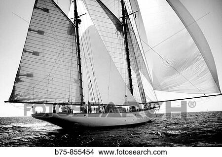 Picture - Sailing ship, boat race, Minorca, Baleric Islands, Spain. Fotosearch
