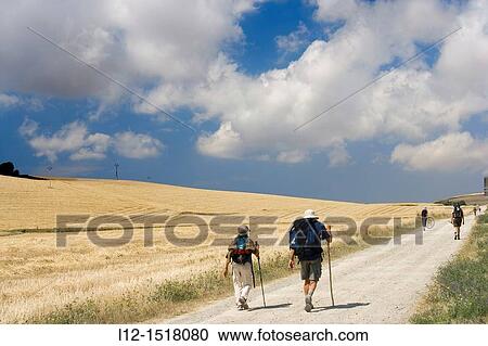 Saint Jacques Way, Road to Santiago pilgrims near Belorado, Burgos province, Castille-Leon, Spain View Large Photo Image Stock Image - Saint Jacques Way, Road to Santiago pilgrims near Belorado, Burgos province, Castille-Leon, Spain. Fotosearch