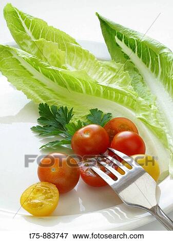 Salad of lettuce, tomatoes and parsley View Large Photo Image Stock Photo - Salad of lettuce, tomatoes and parsley. Fotosearch