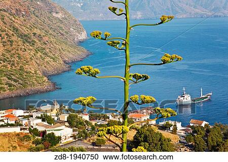 Stock Image - salina. rinella on front. Fotosearch