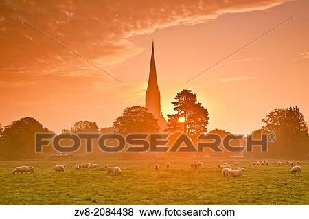 Salisbury cathedral and the west harnham water meadows. View Large Photo Image Stock Photo - Salisbury cathedral and the west harnham water meadows.. Fotosearch