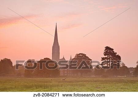 Salisbury cathedral at sunrise. View Large Photo Image Stock Image - Salisbury cathedral at sunrise.. Fotosearch