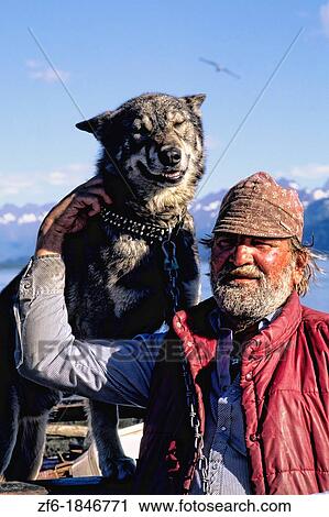 Salmon Fisherman and Wolf at Valdez Alaska USA View Large Photo Image Stock Image - Salmon Fisherman and Wolf at Valdez Alaska USA. Fotosearch