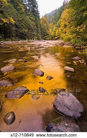 Salmon River in Autumn - Mt Hood National Forest, Oregon View Large Photo Image Stock Photo - Salmon River in Autumn - Mt Hood National Forest, Oregon. Fotosearch