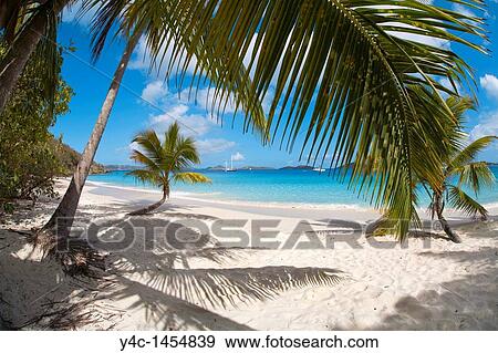 Salomon Beach in the Virgin Islands National Park on the Caribbean Island of St John in the US Virgin Islands View Large Photo Image Stock Photo - Salomon Beach in the Virgin Islands National Park on the Caribbean Island of St John in the US Virgin Islands. Fotosearch