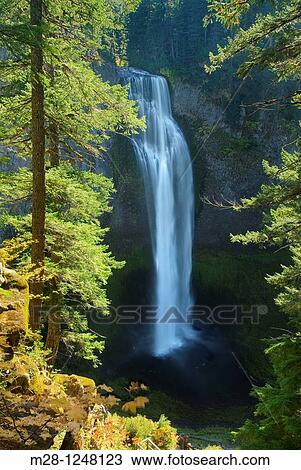Salt Creek Falls, Willamette National Forest Oregon View Large Photo Image Stock Image - Salt Creek Falls, Willamette National Forest Oregon. Fotosearch