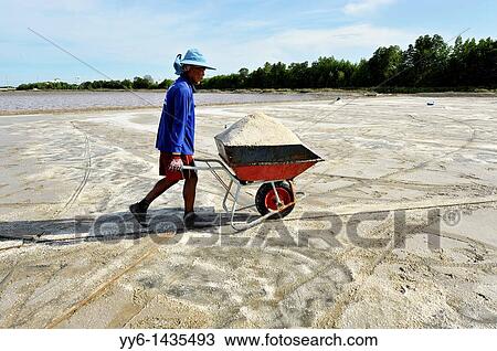 Salt fields of samut sakhon, labourers harvesting salt, samut sakhon, Thailand View Large Photo Image Stock Image - Salt fields of samut sakhon, labourers harvesting salt, samut sakhon, Thailand. Fotosearch