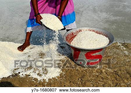 Salt fields, Tamil Nadu, South India, Asia View Large Photo Image Stock Photo - Salt fields, Tamil Nadu, South India, Asia. Fotosearch