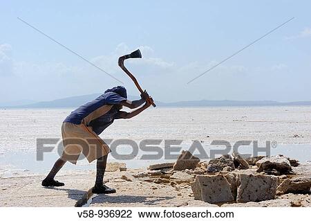 Salt lifting, On the bottom of the local social scale are the Focolo, the? salt lifters?, poor immigrants from Tigray. Asale salt lake. Afar region. Ethiopia. View Large Photo Image Stock Image - Salt lifting, On the bottom of the local social scale are the Focolo, the? salt lifters?, poor immigrants from Tigray. Asale salt lake. Afar region. Ethiopia.. Fotosearch