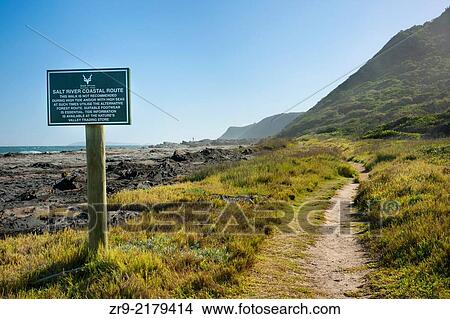 Salt River Coastal Route hiking trail "mini Otter" trek, Nature Valley Beach, Crags, Garden Route, South Africa. View Large Photo Image Picture - Salt River Coastal Route hiking trail "mini Otter" trek, Nature Valley Beach, Crags, Garden Route, South Africa.. Fotosearch