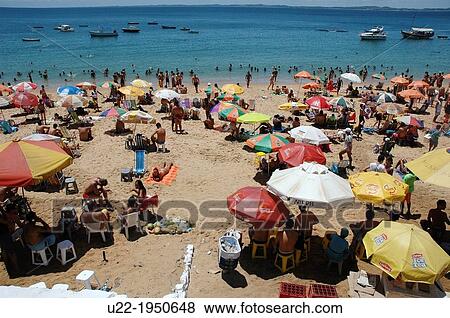 Salvador de Bahia, Bahia, Brazil, Praia da Barra View Large Photo Image Stock Photo - Salvador de Bahia, Bahia, Brazil, Praia da Barra. Fotosearch