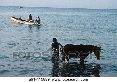 Saly beach and village on the Petite-C? te. Cayor. Senegal. View Large Photo Image Stock Photo - Saly beach and village on the Petite-C? te. Cayor. Senegal.. Fotosearch