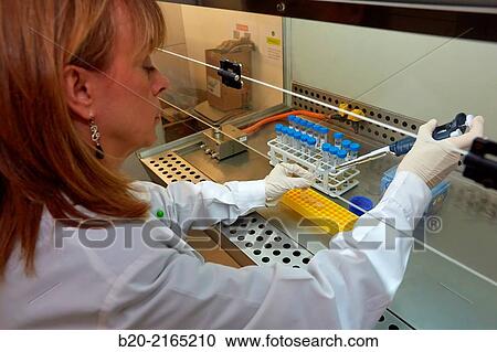 Sample preparation in laminar flow cabinet. Laboratory. Energy and Environment Division. Tecnalia Research and Innovation. Donostia. San Sebastian. Gipuzkoa. Basque Country. Spain. View Large Photo Image Stock Image - Sample preparation in laminar flow cabinet. Laboratory. Energy and Environment Division. Tecnalia Research and Innovation. Donostia. San Sebastian. Gipuzkoa. Basque Country. Spain.. Fotosearch