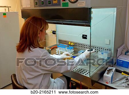 Sample preparation in laminar flow cabinet. Laboratory. Energy and Environment Division. Tecnalia Research and Innovation. Donostia. San Sebastian. Gipuzkoa. Basque Country. Spain. View Large Photo Image Stock Image - Sample preparation in laminar flow cabinet. Laboratory. Energy and Environment Division. Tecnalia Research and Innovation. Donostia. San Sebastian. Gipuzkoa. Basque Country. Spain.. Fotosearch