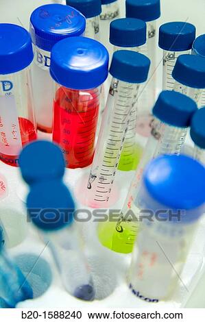 Stock Image - Samples, Cell Culture Laboratory, Unit of Health Technology, Tecnalia Research & Innovation, Miramon Technology Park, San Sebastian, Donostia, Gipuzkoa, Basque Country, Spain. Fotosearch